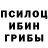 Псилоцибиновые грибы Psilocybe Masha Razvozova